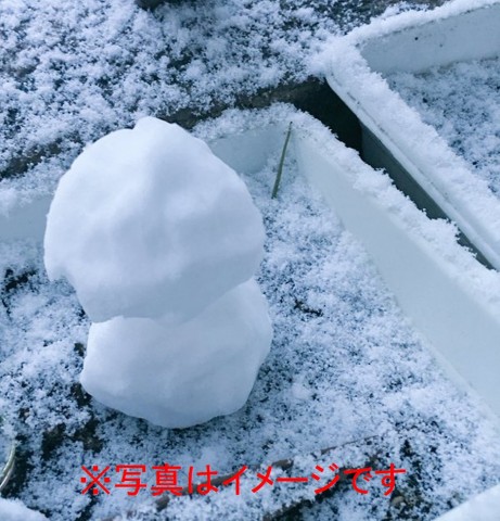 雪だるま