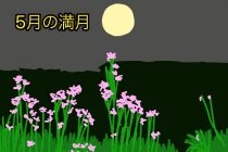 PAPのつぶやき vol.022「フラワームーン」